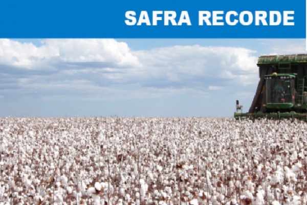 Viagem ao Estado do Mato Grosso